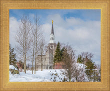 Load image into Gallery viewer, Boston Winter Morning