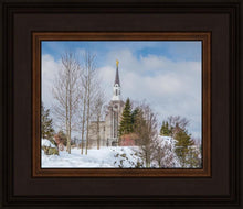 Load image into Gallery viewer, Boston Winter Morning