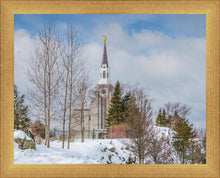 Load image into Gallery viewer, Boston Winter Morning