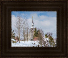 Load image into Gallery viewer, Boston Winter Morning