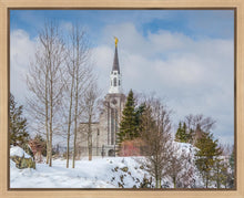 Load image into Gallery viewer, Boston Winter Morning