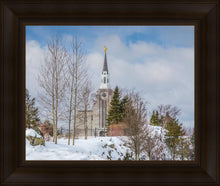 Load image into Gallery viewer, Boston Winter Morning