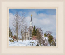 Load image into Gallery viewer, Boston Winter Morning