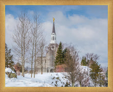 Load image into Gallery viewer, Boston Winter Morning