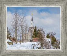 Load image into Gallery viewer, Boston Winter Morning