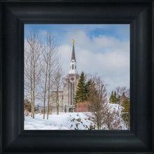 Load image into Gallery viewer, Boston Winter Morning