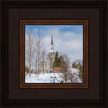 Load image into Gallery viewer, Boston Winter Morning