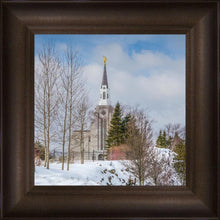 Load image into Gallery viewer, Boston Winter Morning