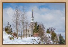 Load image into Gallery viewer, Boston Winter Morning