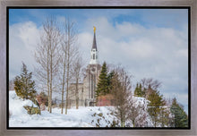 Load image into Gallery viewer, Boston Winter Morning