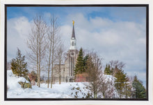 Load image into Gallery viewer, Boston Winter Morning