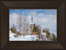 Load image into Gallery viewer, Boston Winter Morning