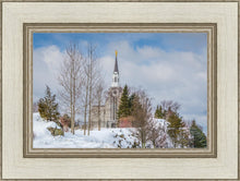Load image into Gallery viewer, Boston Winter Morning