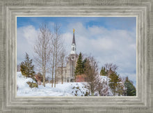 Load image into Gallery viewer, Boston Winter Morning