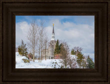Load image into Gallery viewer, Boston Winter Morning
