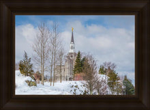 Load image into Gallery viewer, Boston Winter Morning