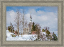 Load image into Gallery viewer, Boston Winter Morning