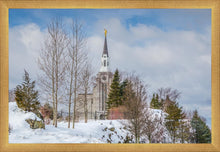 Load image into Gallery viewer, Boston Winter Morning