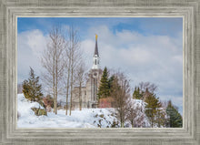 Load image into Gallery viewer, Boston Winter Morning