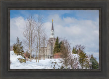 Load image into Gallery viewer, Boston Winter Morning