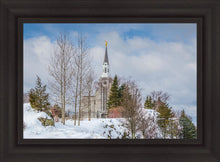 Load image into Gallery viewer, Boston Winter Morning