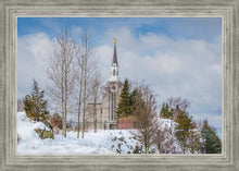 Load image into Gallery viewer, Boston Winter Morning
