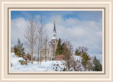 Load image into Gallery viewer, Boston Winter Morning