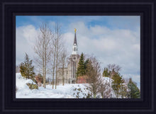 Load image into Gallery viewer, Boston Winter Morning
