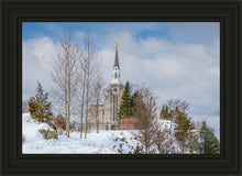 Load image into Gallery viewer, Boston Winter Morning