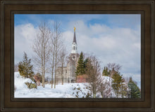 Load image into Gallery viewer, Boston Winter Morning