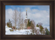 Load image into Gallery viewer, Boston Winter Morning