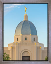 Load image into Gallery viewer, Tucson Morning Glory