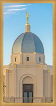 Load image into Gallery viewer, Tucson Morning Glory