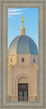 Load image into Gallery viewer, Tucson Morning Glory