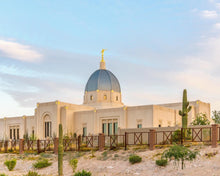 Load image into Gallery viewer, Tucson Peaceful Morning