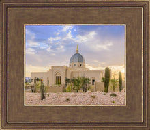 Load image into Gallery viewer, Tucson Deseret