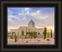 Load image into Gallery viewer, Tucson Deseret