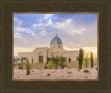 Load image into Gallery viewer, Tucson Deseret