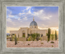 Load image into Gallery viewer, Tucson Deseret