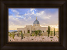 Load image into Gallery viewer, Tucson Deseret