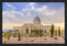 Load image into Gallery viewer, Tucson Deseret
