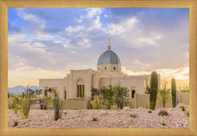 Load image into Gallery viewer, Tucson Deseret