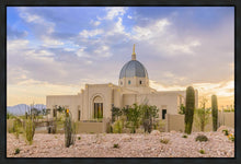 Load image into Gallery viewer, Tucson Deseret