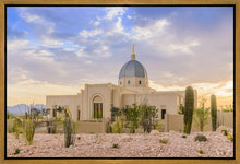 Load image into Gallery viewer, Tucson Deseret