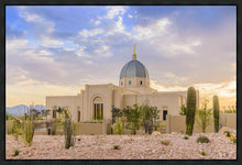 Load image into Gallery viewer, Tucson Deseret