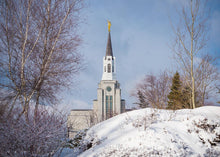Load image into Gallery viewer, Boston Morning Snow Horizontal