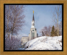 Load image into Gallery viewer, Boston Morning Snow Horizontal
