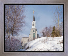 Load image into Gallery viewer, Boston Morning Snow Horizontal
