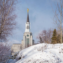 Load image into Gallery viewer, Boston Morning Snow Horizontal