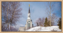 Load image into Gallery viewer, Boston Morning Snow Horizontal